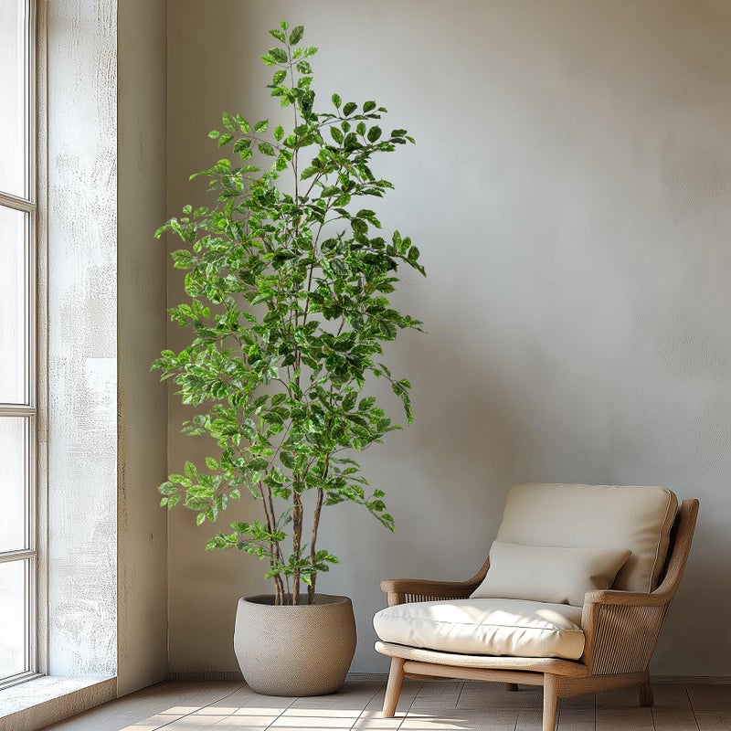 Bailikang Artificial Ficus Tree Indoor 7ft, Large Potted Faux Tree with Realistic Silk Leaves & Trunk for Home Office, Living Room Corner Decor - Image 3