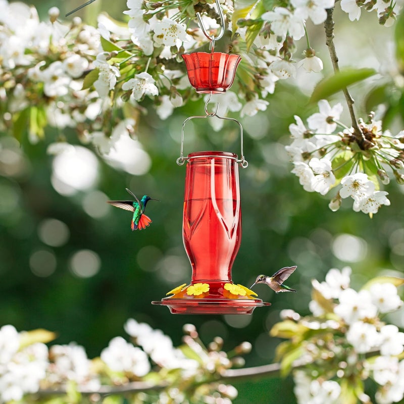 Kingsyard مغذي زهور النحل من كينغزيارد (Kingsyard Glass Hummingbird Feeder)، يحتوي على 6 فتحات لتغذية الطيور، مصمم للتعليق في الحديقة، سعته 16 أونصة، مقاوم للصدأ والتسرب، مناسب لزينة الحدائق الخلفية، يأتي مع حاجز ضد النمل، بلون أحمر داكن. - Image 2