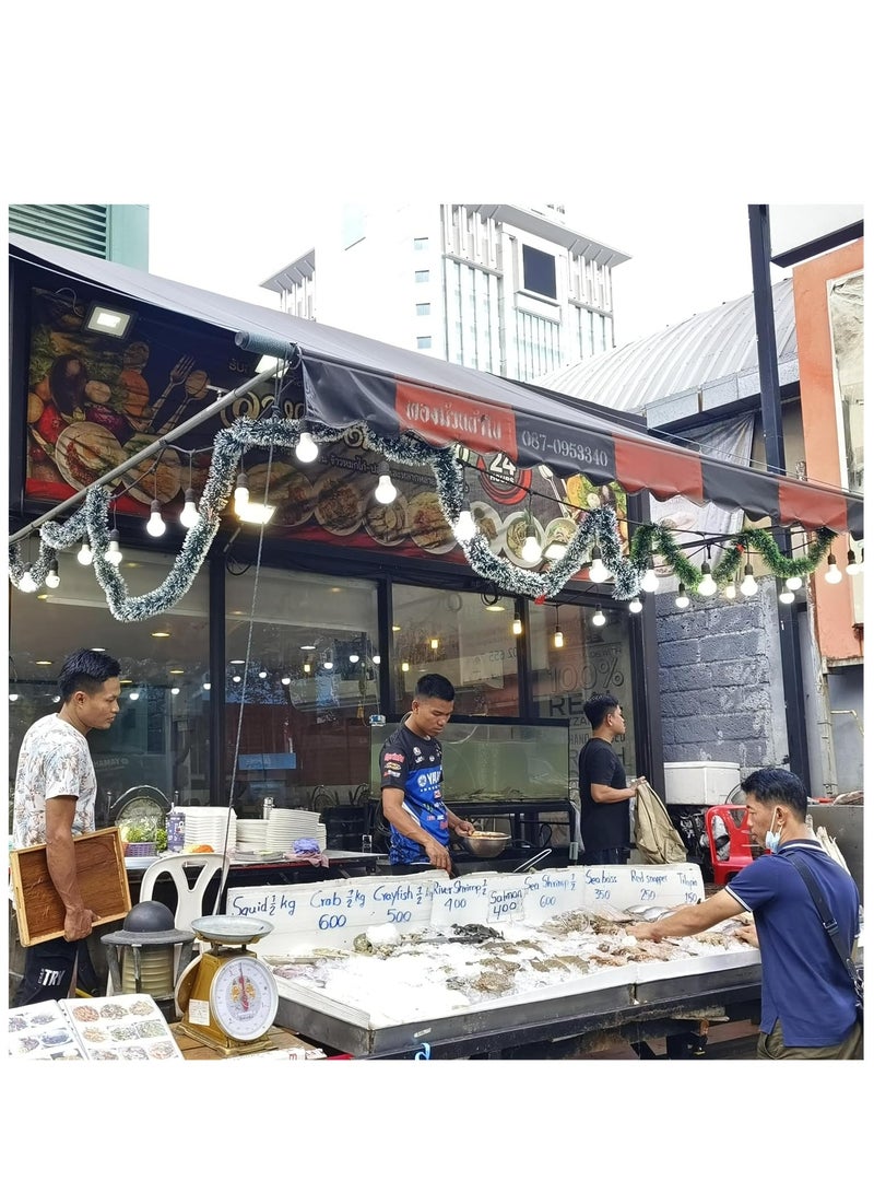 HUA QIANG WANG 33FT Outdoor String Lights, 10 Meter 20 Hanging Sockets Decorative Lights for Outdoor Garden - Image 4