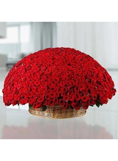 Valentine All About Love 801 Red Roses - pzsku/Z42979768B395E9CECCFCZ/45/_/1737548603/138923ed-1504-40fd-aee9-a61bbb87db8c