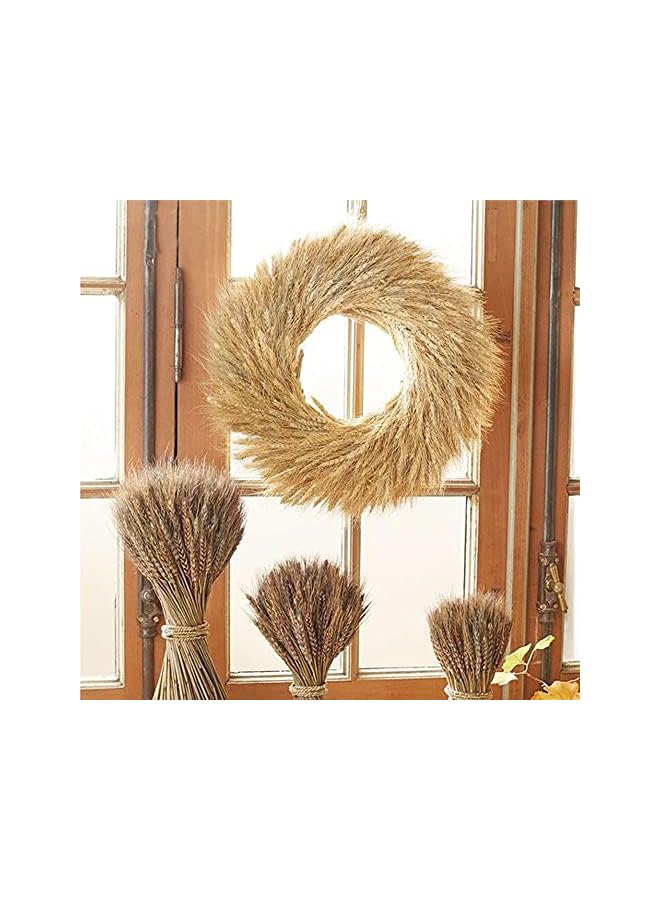 The Bros 100 Fall Stems Dried Wheat Stalks Dried, Natural Ear of Wheat Grain Flowers for Home Dining Table Flower Arrangement Art Wedding Decoration - Image 5