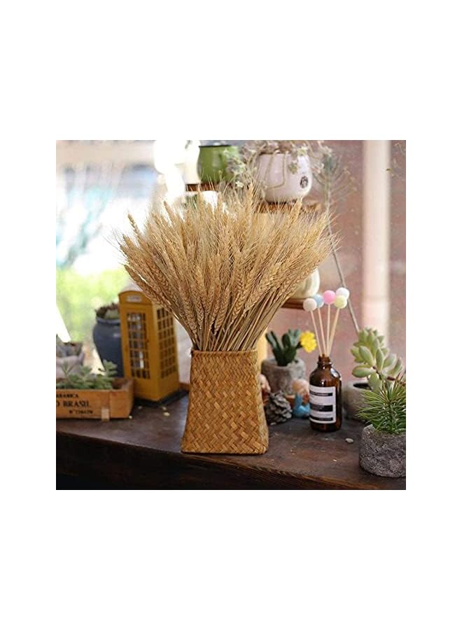 The Bros 100 Fall Stems Dried Wheat Stalks Dried, Natural Ear of Wheat Grain Flowers for Home Dining Table Flower Arrangement Art Wedding Decoration - Image 2