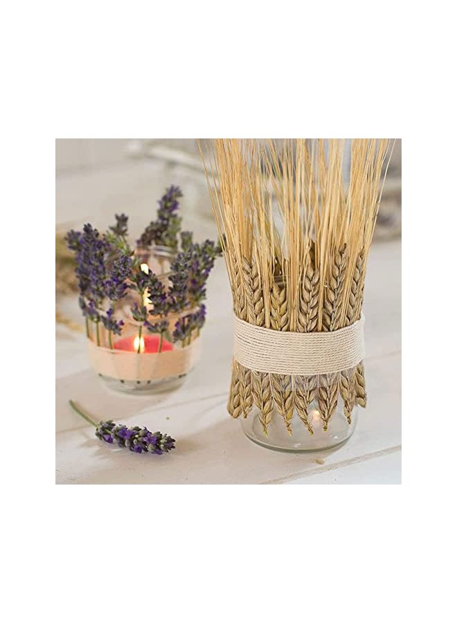 The Bros 100 Fall Stems Dried Wheat Stalks Dried, Natural Ear of Wheat Grain Flowers for Home Dining Table Flower Arrangement Art Wedding Decoration - Image 4