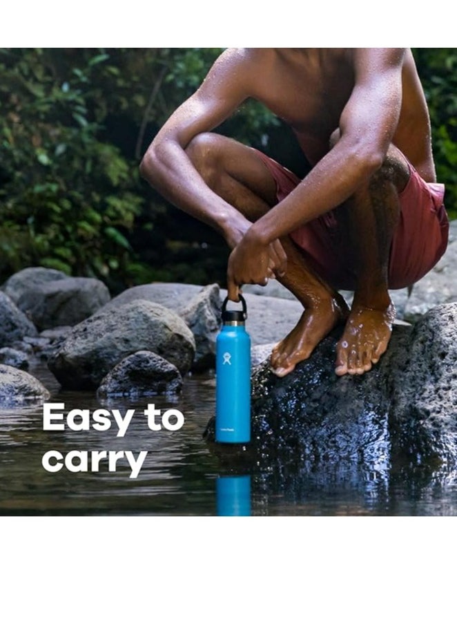 HYDRO FLASK - زجاجة مياه 709 مل (24 أونصة) - زجاجة مياه معزولة بالفراغ من الفولاذ المقاوم للصدأ مع غطاء مرن مقاوم للتسرب وطلاء مسحوق - خالية من مادة BPA - فوهة قياسية - حجرية