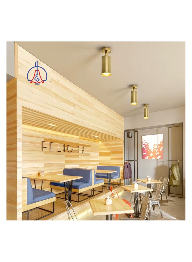 AL SALHIYA LIGHTING Indoor  Spotlight With GU10  Bulb  DB-19  Warm White - Gold - Image 1