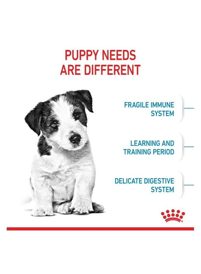 Royal Canin Mini Puppy Dogs Dry Food Supports Brain Development, Immune Support, and Digestive Health 4 Kg - Image 3
