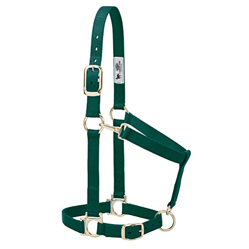 Weaver Leather Basic Adjustable Nylon Halter, Hunter Green, 1" Small Horse - Image 1