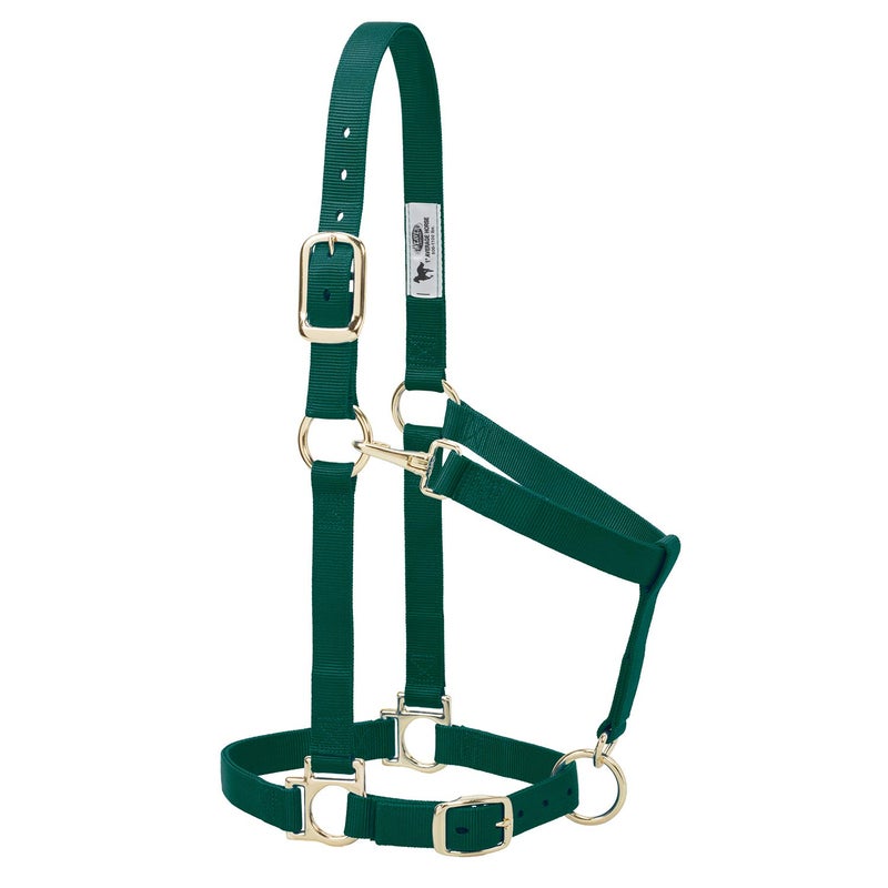 Weaver Leather Basic Adjustable Nylon Halter, Hunter Green, 1" Small Horse - Image 4