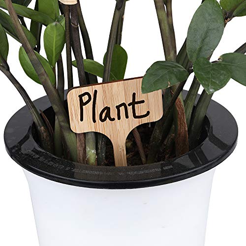 KINGLAKE 60 Pcs Bamboo Plant Labels, Garden Labels, Garden Plant Markers, T-Type Tags Nursery Labels, Wood Plant Labels, Waterproof Signs for Vegetable Plants with a Marker Pen - Image 5
