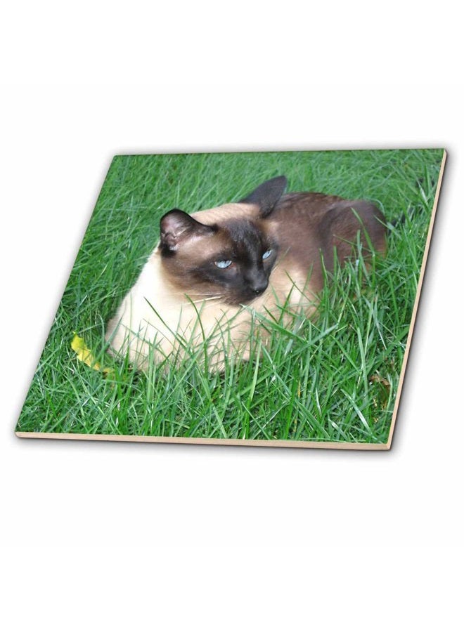 3DROSE Siamese Cat - Ceramic Tile, 20cm - Image 2