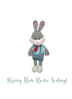 Happy Threads Handmade Crocheted Cute Handmade Jasper the Bunny (16 inch) – Multicolour |  Crochet Toys | Child Safe | for Babies 6 Months & Above | Dolls for Boys/Girls| For Birthday Gift | Decorative Items for Room  - Image 3