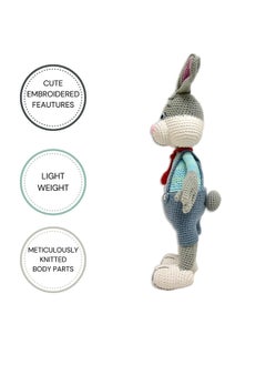 Happy Threads Handmade Crocheted Cute Handmade Jasper the Bunny (16 inch) – Multicolour |  Crochet Toys | Child Safe | for Babies 6 Months & Above | Dolls for Boys/Girls| For Birthday Gift | Decorative Items for Room  - Image 2