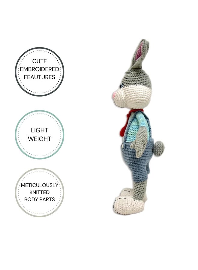 Happy Threads Handmade Crocheted Cute Handmade Jasper the Bunny (16 inch) – Multicolour |  Crochet Toys | Child Safe | for Babies 6 Months & Above | Dolls for Boys/Girls| For Birthday Gift | Decorative Items for Room - Image 2