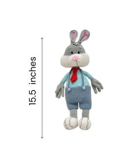 Happy Threads Handmade Crocheted Cute Handmade Jasper the Bunny (16 inch) – Multicolour |  Crochet Toys | Child Safe | for Babies 6 Months & Above | Dolls for Boys/Girls| For Birthday Gift | Decorative Items for Room  - Image 4