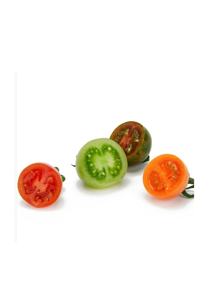 Generic 100 PCS Cherry Tomato Seeds Colorful Cherry Tomato Seeds  Mix Rainbow Cherry Tomato Seeds  - Image 2