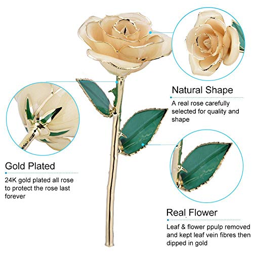 ZJchao Love Forever Long Stem 24k Gold Dipped Rose Flower, Love Gift to Wife, Mom, Girlfriend (White) - Image 5
