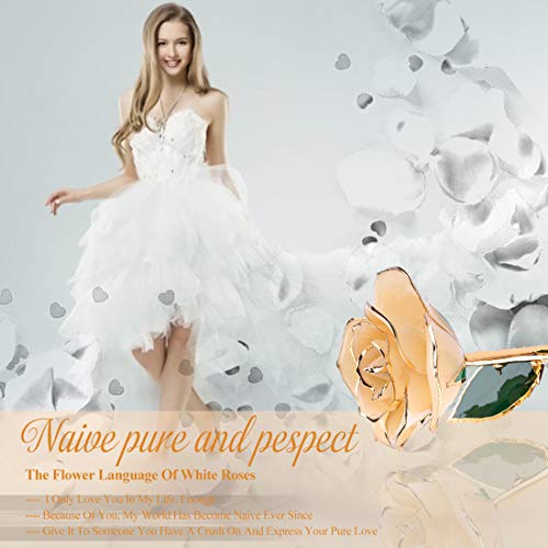 ZJchao Love Forever Long Stem 24k Gold Dipped Rose Flower, Love Gift to Wife, Mom, Girlfriend (White) - Image 4