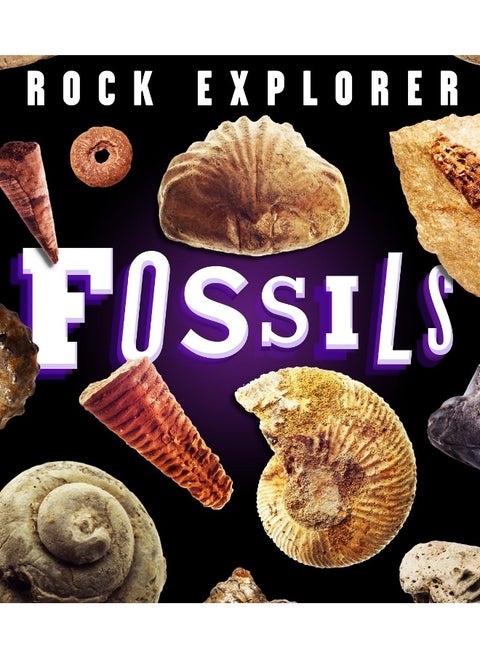 Rock Explorer: Fossils
