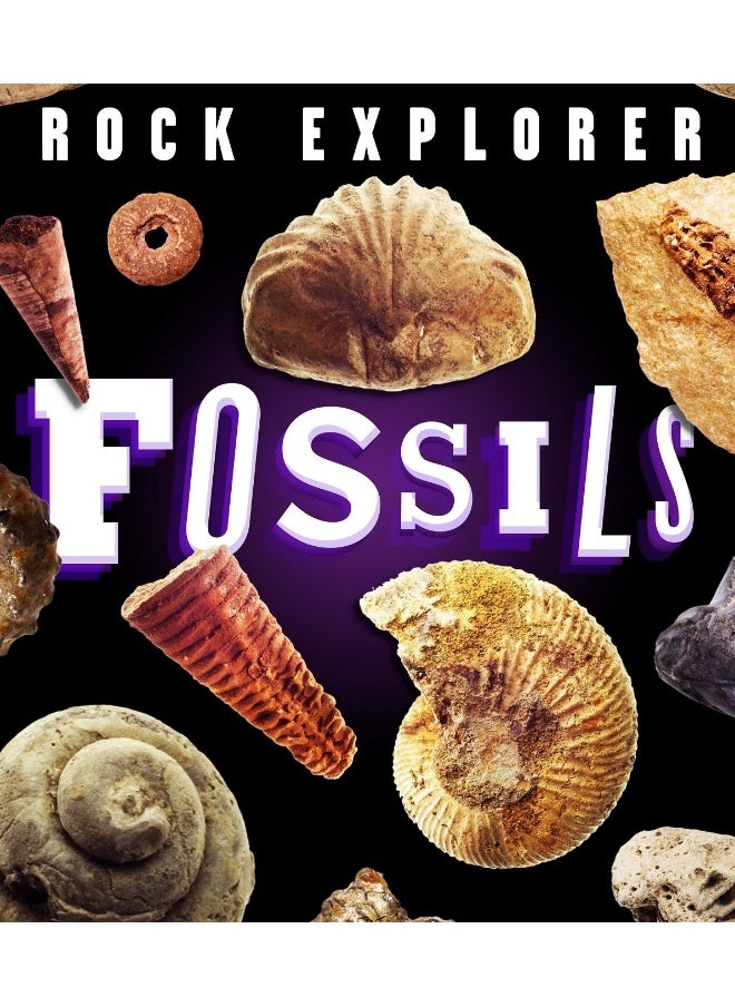 Rock Explorer: Fossils 
