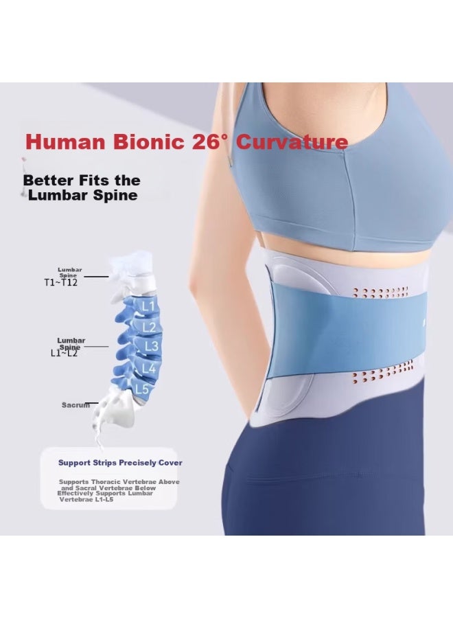 Propard Lumbar Support Belt For Herniated Disc, Waist Support For Lumbar Strain, Invisible Waist Brace For Men And Women, XL - Image 2