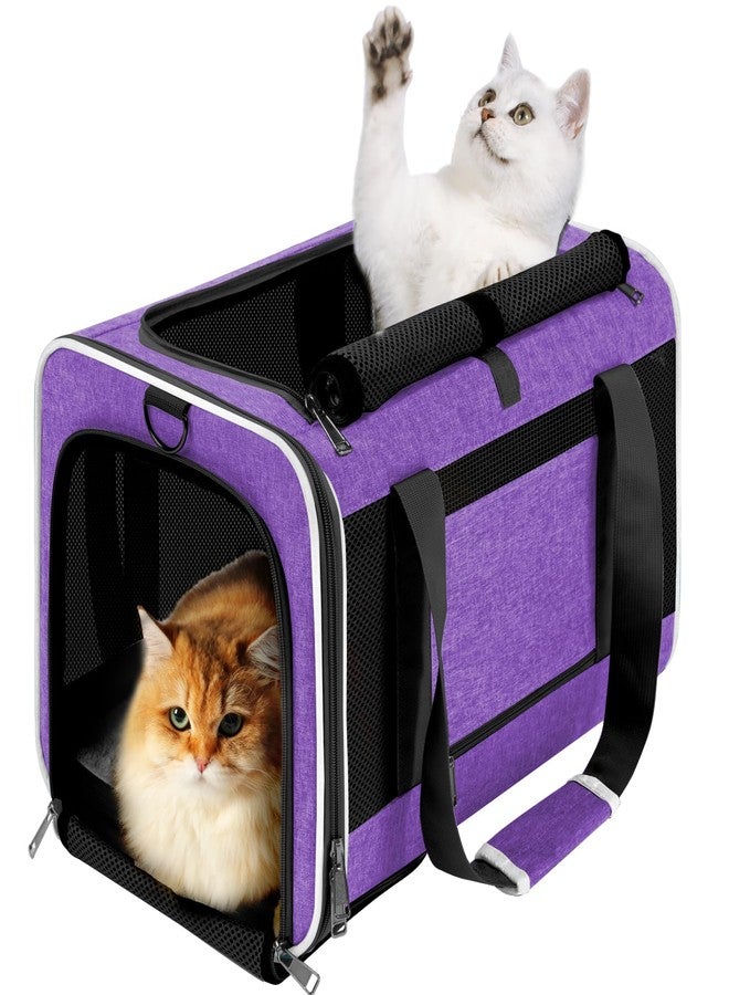 GAPZER Pet Carrier for Large Cat 20 lbs+ / Soft Sided Small Dog 12 Pounds Travel Crate Top Load/Collapsible Kitty Carry Bag Big Kitten Mesh/Sturdy Animal Transport cage Kennel Long Trips Purple - Image 1