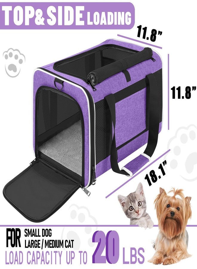 GAPZER Pet Carrier for Large Cat 20 lbs+ / Soft Sided Small Dog 12 Pounds Travel Crate Top Load/Collapsible Kitty Carry Bag Big Kitten Mesh/Sturdy Animal Transport cage Kennel Long Trips Purple - Image 2