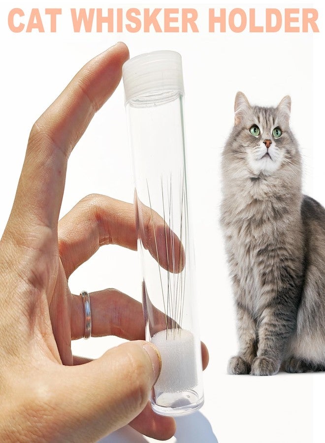 Anranmm 4 Pack Cat Whisker Holder - Transparent Cat Whisker Jar with Lid, Pet Beard Hair Collector & Keeper, Mini Decor for Home & Memorial Gift for Pet Lovers - Image 3
