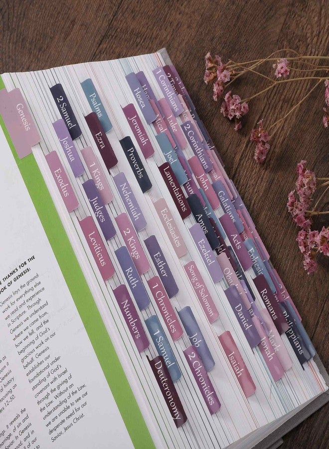 Thinkor Laminated & Repostion Bible Tabs, Large Print Christian Gift for Women and Men, Easy to Read and Apply Bible Journaling Tabs (Purple & Pink Print) - Image 4