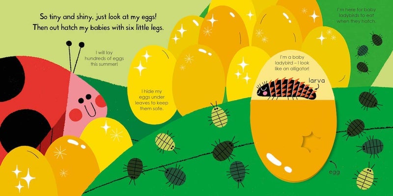 Campbell Books My Little Green World: Ladybird  - Image 3