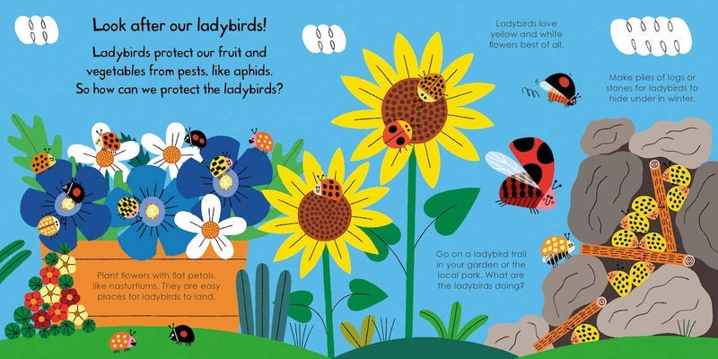 Campbell Books My Little Green World: Ladybird  - Image 2