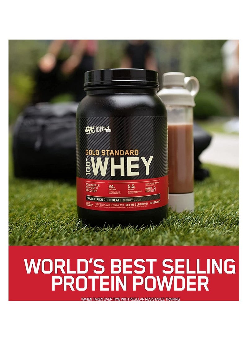 Optimum Nutrition - Gold Standard 100% Whey Protein Powder, for Muscle Support & Recovery, Primary Source Whey Protein Isolate - Extreme Milk Chocolate, 2.27 Kgs (5 lbs), 70 Servings - Image 1