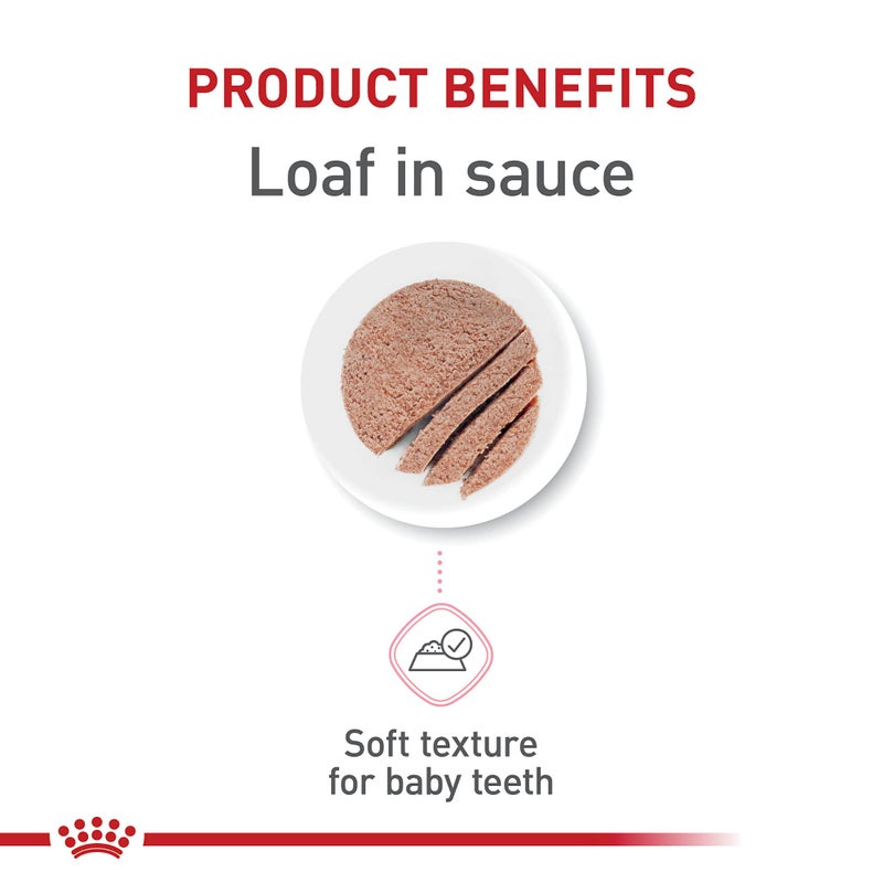 Royal Canin Feline Health Nutrition Kitten Loaf in Sauce Cat Food, 5.1 oz (Pack of 24) - Image 3