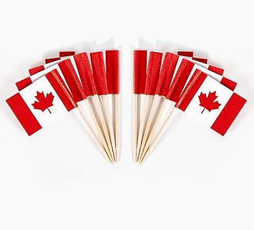 JAVD Cyps 100 Pcs Canada Flag Canadian Toothpick Flags  Small Mini Stick Cupcake Toppers Canadian Flags Country Picks Party Decoration Celebration Cocktail Food Bar Cake Flags - Image 1