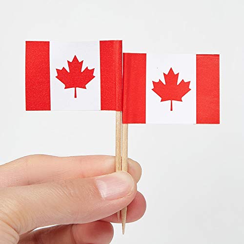 JAVD Cyps 100 Pcs Canada Flag Canadian Toothpick Flags  Small Mini Stick Cupcake Toppers Canadian Flags Country Picks Party Decoration Celebration Cocktail Food Bar Cake Flags - Image 3