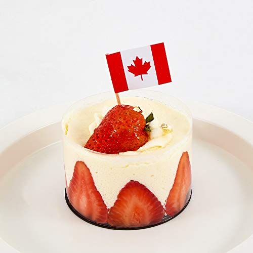 JAVD Cyps 100 Pcs Canada Flag Canadian Toothpick Flags  Small Mini Stick Cupcake Toppers Canadian Flags Country Picks Party Decoration Celebration Cocktail Food Bar Cake Flags - Image 4