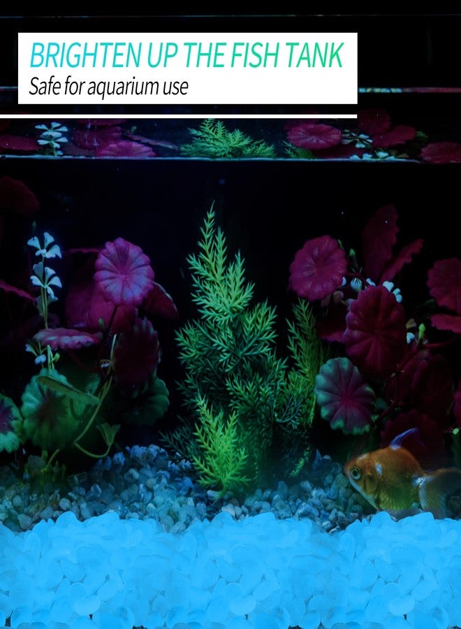 Oubest 900pcs Glow in The Dark Rocks Outdoor Decorations Stones Small Luminous Pebbles Indoor/Outdoor Decor for Garden Fish Tank Aquarium Planter Walkway - Lake Blue - Image 5