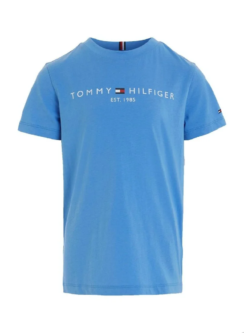 TOMMY HILFIGER Kids' Essential Logo Featuring a Crew Neck T-Shirt -  Pure cotton, Blue