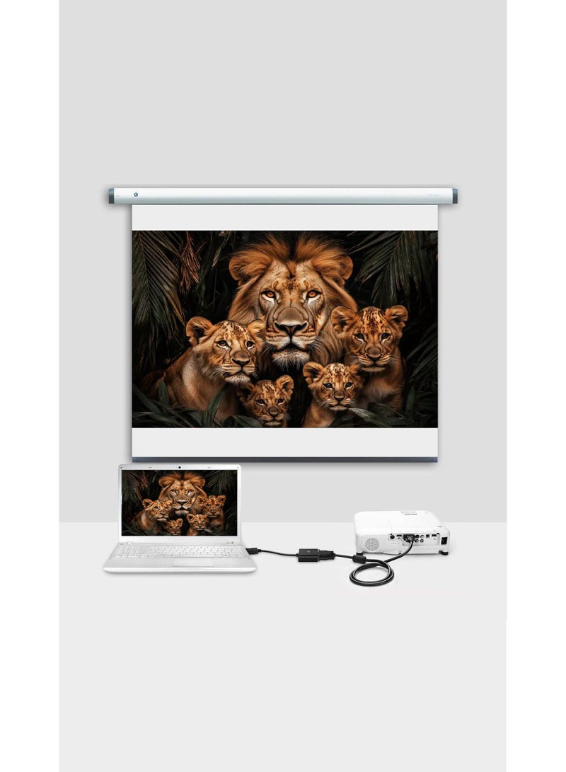 Bright HDMI to VGA Adapter, HDMI Male to VGA Female Cable + Audio Output, 25cm - Image 4