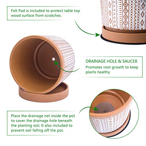 D'vine Dev Set of 2 Terracotta Pots, 4 Inch & 6 Inch, Planter Pots for Plants with Drainage Holes and Saucers, Terracotta/White, Small, 31-958-A-1 - Image 5