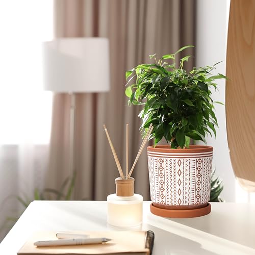 D'vine Dev Set of 2 Terracotta Pots, 4 Inch & 6 Inch, Planter Pots for Plants with Drainage Holes and Saucers, Terracotta/White, Small, 31-958-A-1 - Image 4