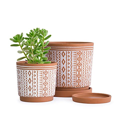 D'vine Dev Set of 2 Terracotta Pots, 4 Inch & 6 Inch, Planter Pots for Plants with Drainage Holes and Saucers, Terracotta/White, Small, 31-958-A-1 - Image 1