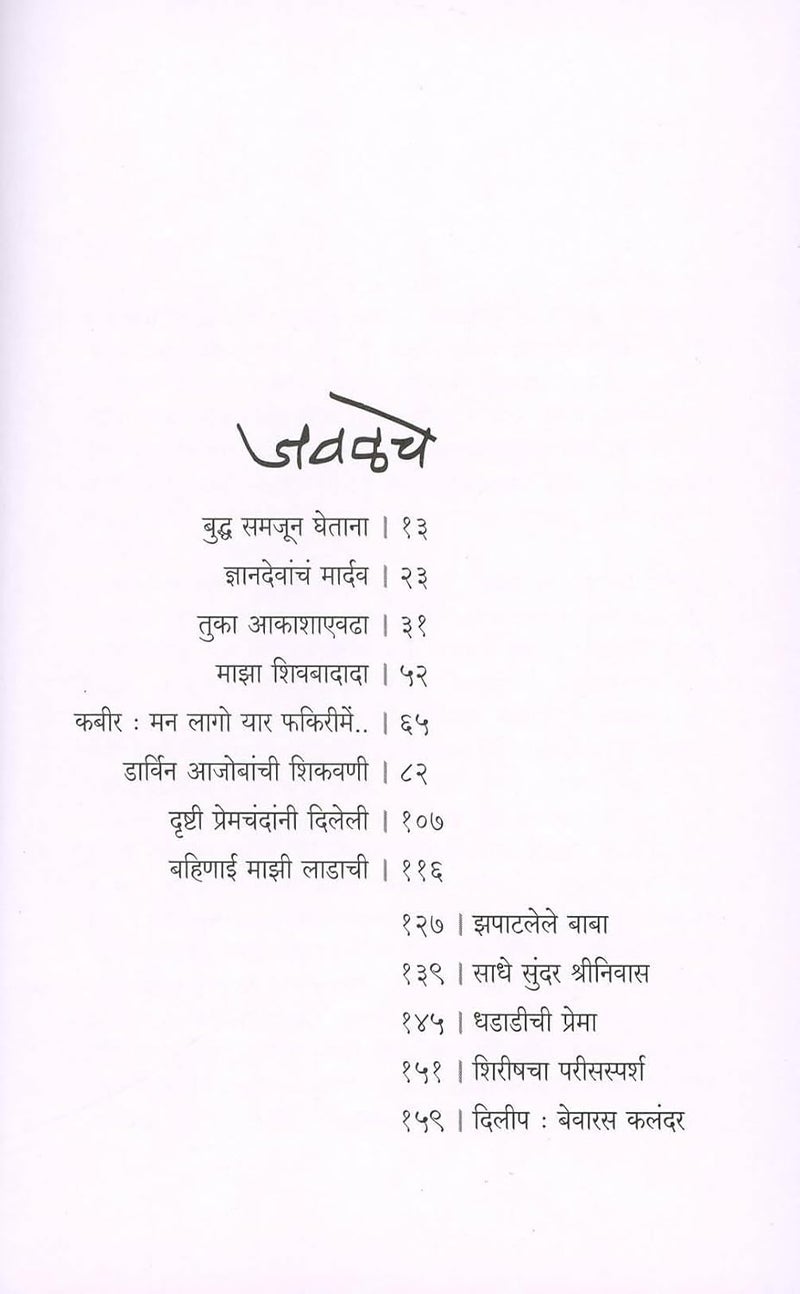 Javalche By Anil Avchat - Image 3