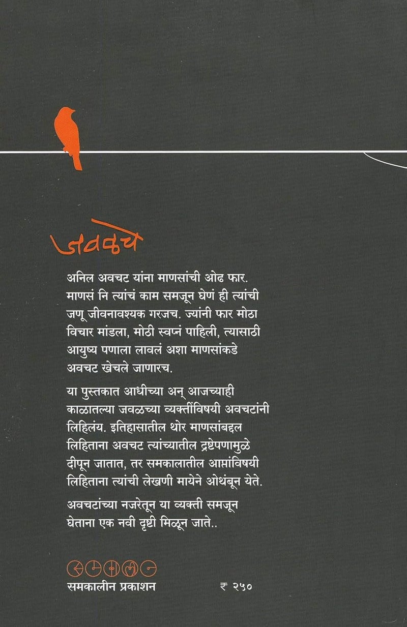 Javalche By Anil Avchat - Image 4