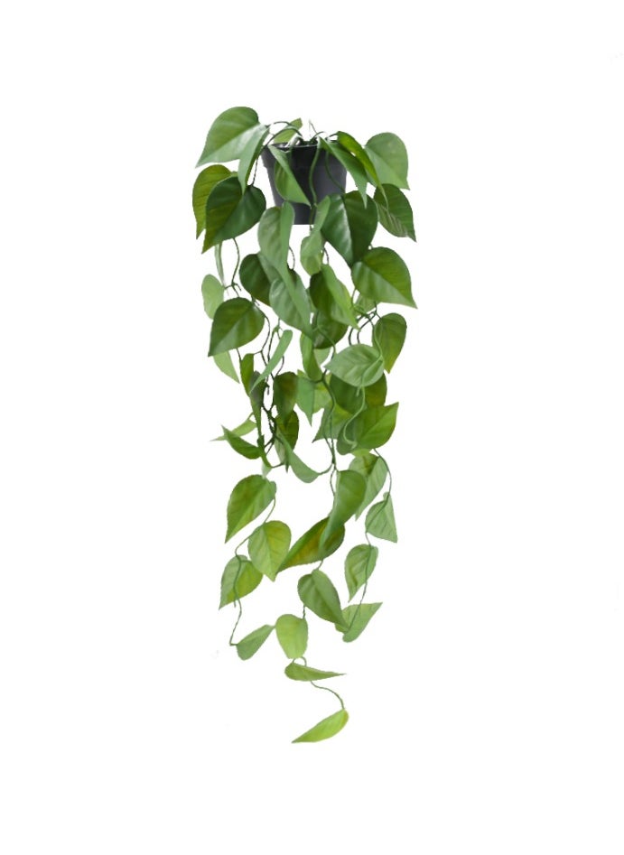 DRAMA HOME Drama Home 2Pieces Artificial Green Hanging Scindapsus Leaves, Fake Ivy Hanging Vine Greenery Garlands for Wedding Party Home Garden Wall Decoration  - Image 3