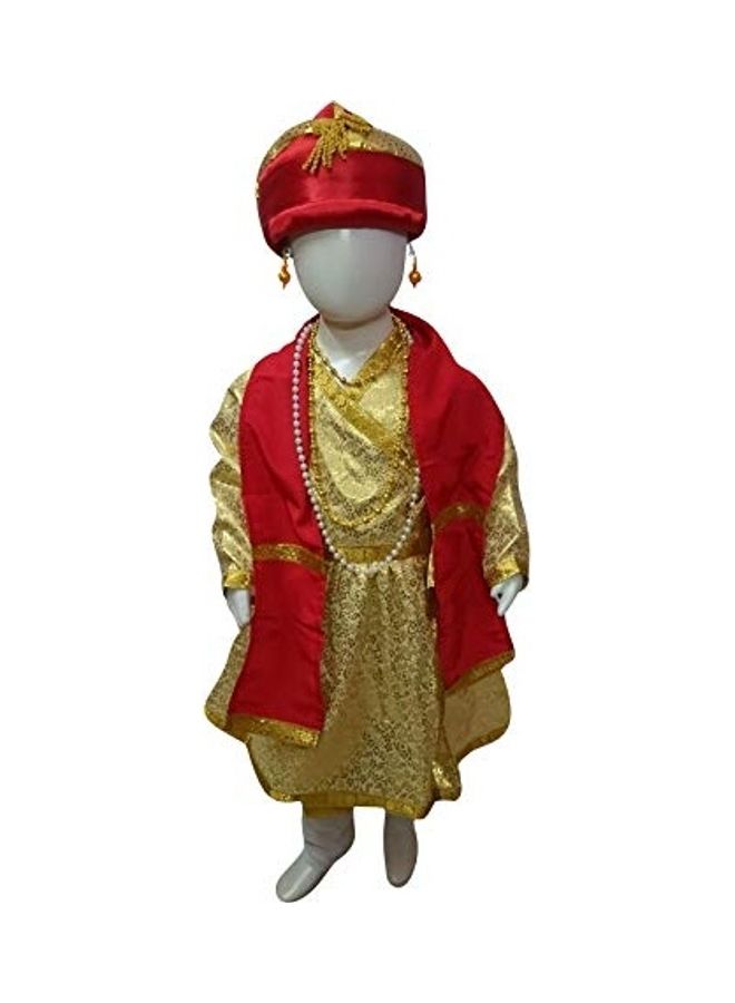 NIBEMINENT Historical King Darbar Mantri Fancy Dress Costume 3 – 4 - Image 1