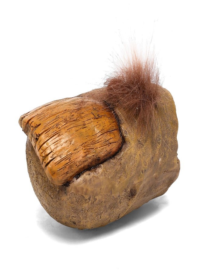 إيه أس في بي شوب تمثال إصبع قدم بيغ فوت من متجر ASVP - تمثال ساسكواتش مضحك مصنوع من الراتنج، قطعة ديكور منزلية، مزحة عملية لكذبة أبريل، أو عيد ميلاد، أو لمحبي الأشياء الغريبة أو المقالب - Image 3