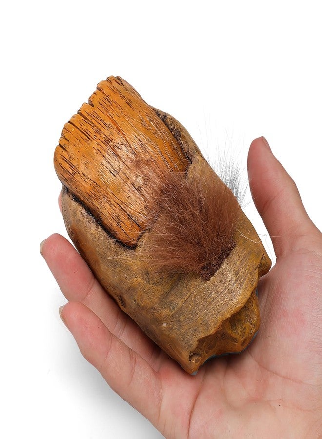 إيه أس في بي شوب تمثال إصبع قدم بيغ فوت من متجر ASVP - تمثال ساسكواتش مضحك مصنوع من الراتنج، قطعة ديكور منزلية، مزحة عملية لكذبة أبريل، أو عيد ميلاد، أو لمحبي الأشياء الغريبة أو المقالب - Image 2