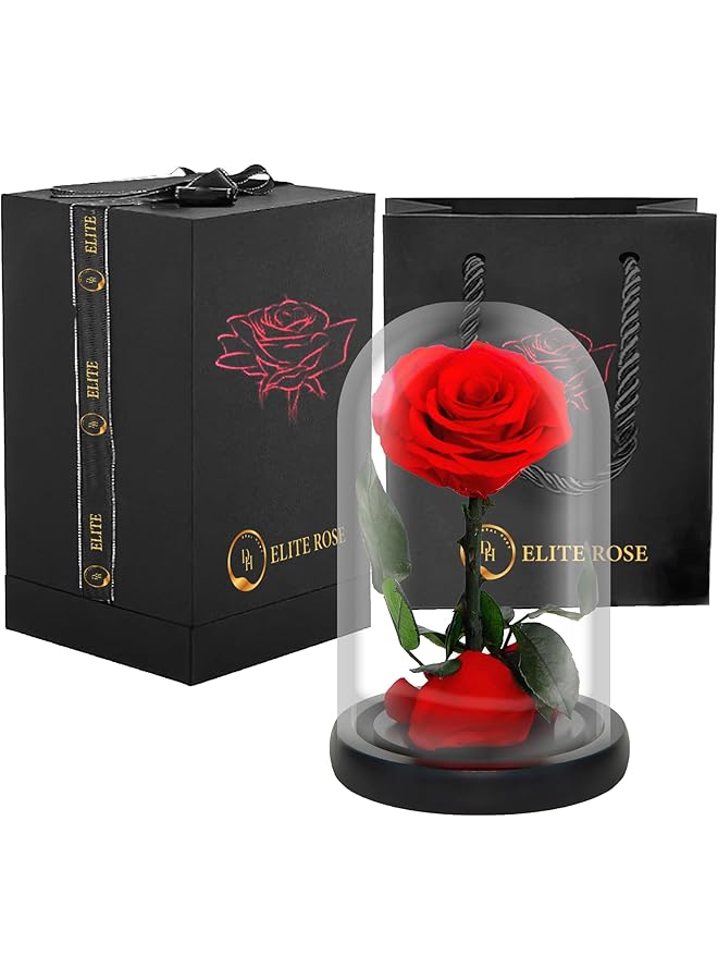 The Bros ELITE Eternal Rose with free box & pack, Preserved Rose Flowers, Birthday, Valentine's Day Gifts - Romantic Love Symbol for Valentine's Day & Anniversary (A.RED GLASS DOME) - Image 1