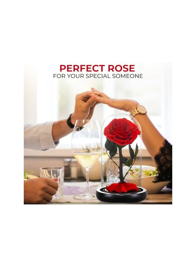 The Bros ELITE Eternal Rose with free box & pack, Preserved Rose Flowers, Birthday, Valentine's Day Gifts - Romantic Love Symbol for Valentine's Day & Anniversary (A.RED GLASS DOME) - Image 4