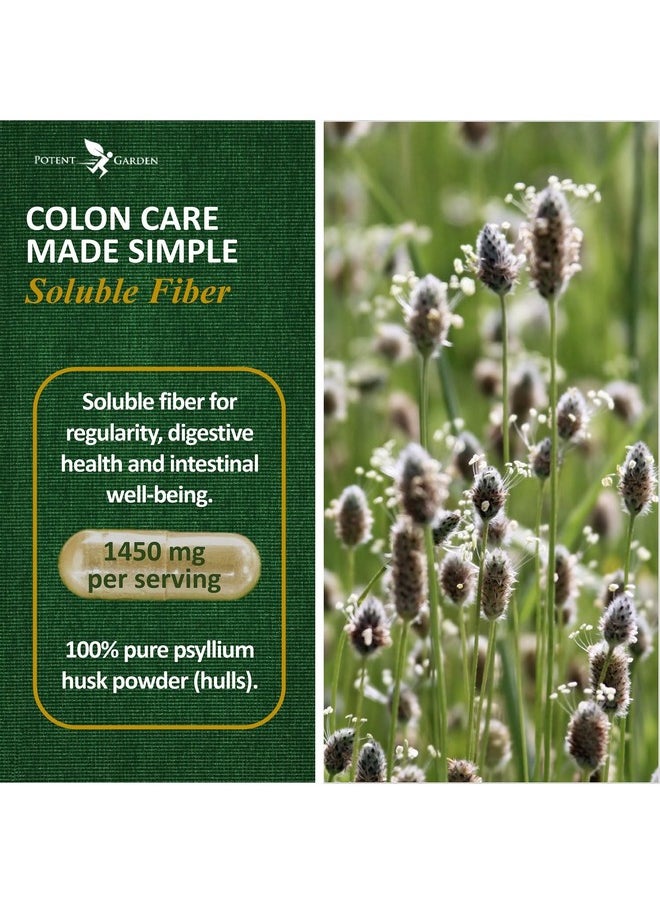 Potent Garden - Psyllium Husk Capsules All Natural & Powerful Soluble Dietary Fiber Supplement Helps Support Regularity & Digestion 240 Caps - Image 1